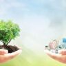 la importancia de utilizar materiales ecológicos en las reformas