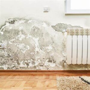 Nivel de humedad óptimo en vivienda: