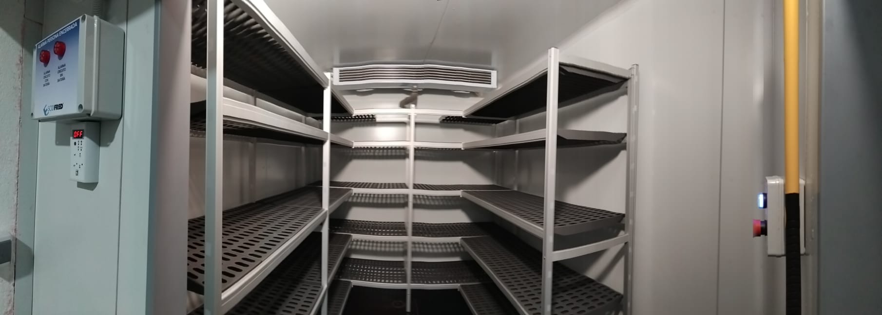 Camara en negativo